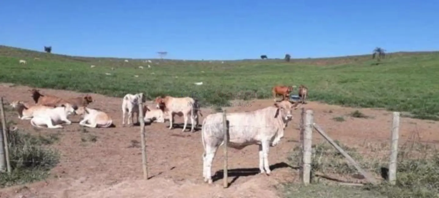Foto 9 de Fazenda / Haras com 2 quartos à venda, 2541000m2 em Sao Jose Dos Campos - SP