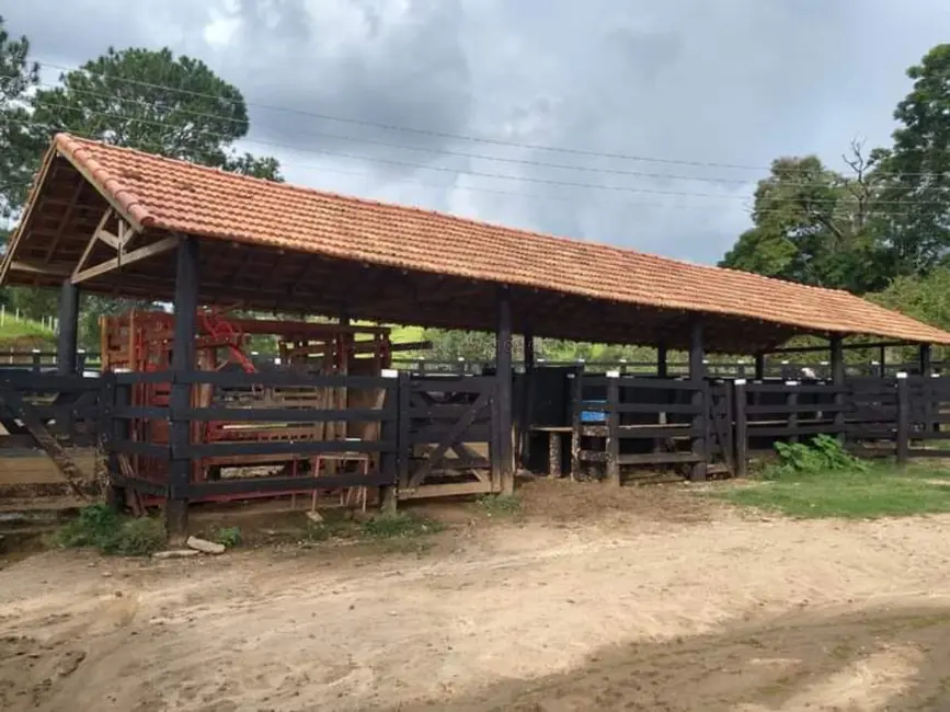 Foto 9 de Fazenda / Haras com 15 quartos à venda, 2783000m2 em Vila Pantaleão, Cacapava - SP
