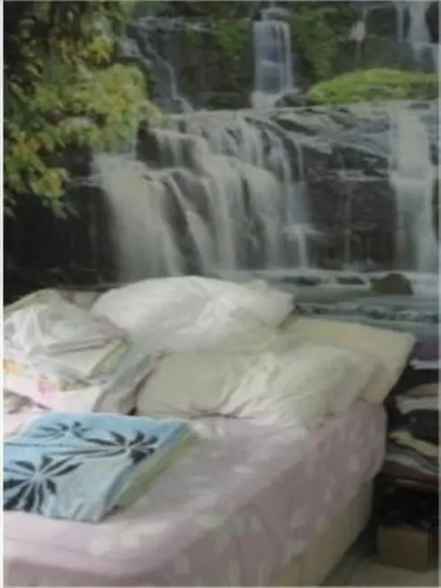 Foto 2 de Apartamento com 1 quarto à venda, 55m2 em Centro, Sao Vicente - SP