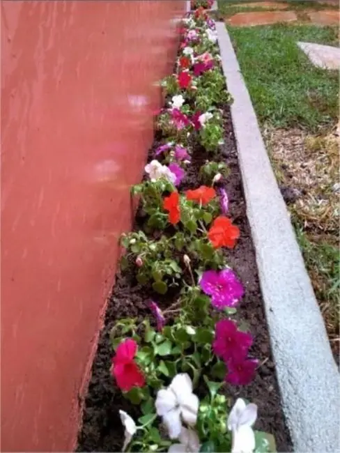 Foto 8 de Casa com 2 quartos à venda, 70m2 em Marapé, Santos - SP