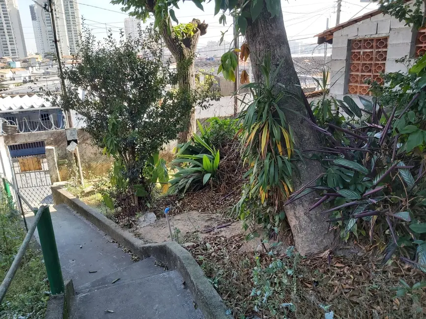 Foto 9 de Terreno / Lote à venda, 250m2 em Jardim Monte Kemel, São Paulo - SP