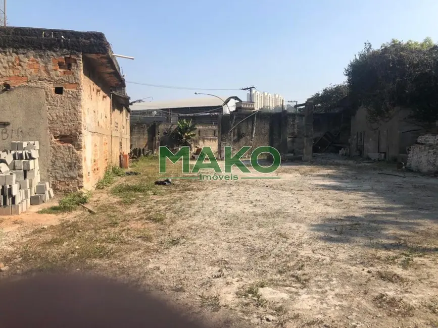 Terreno / Lote à venda e para alugar, 650m2 em Instituto de Previdência, São Paulo - SP - imagem 8 Foto 8 de Terreno / Lote à venda e para alugar, 650m2 em Instituto de Previdência, São Paulo - SP