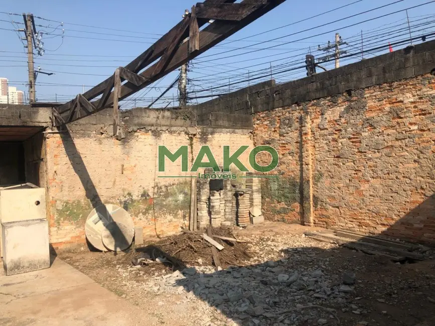 Foto 11 de Terreno / Lote à venda e para alugar, 650m2 em Instituto de Previdência, São Paulo - SP