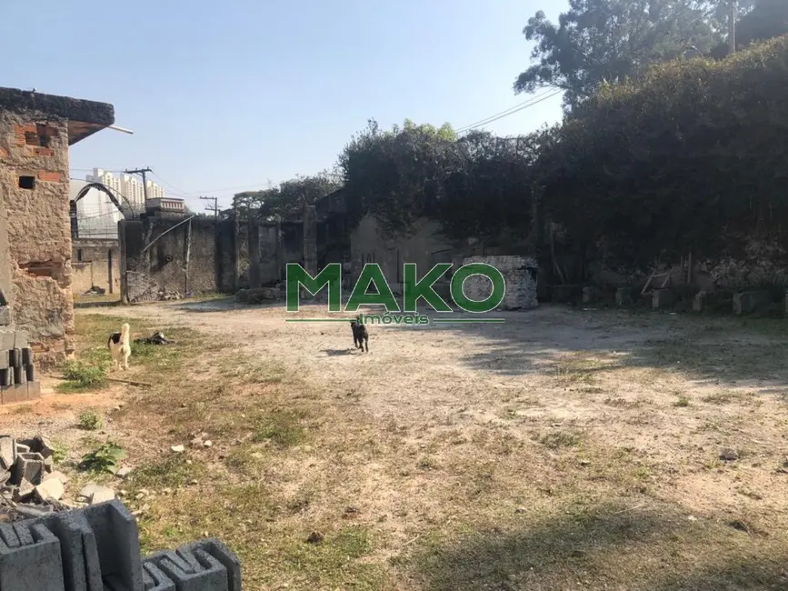 Foto 10 de Terreno / Lote à venda e para alugar, 650m2 em Instituto de Previdência, São Paulo - SP