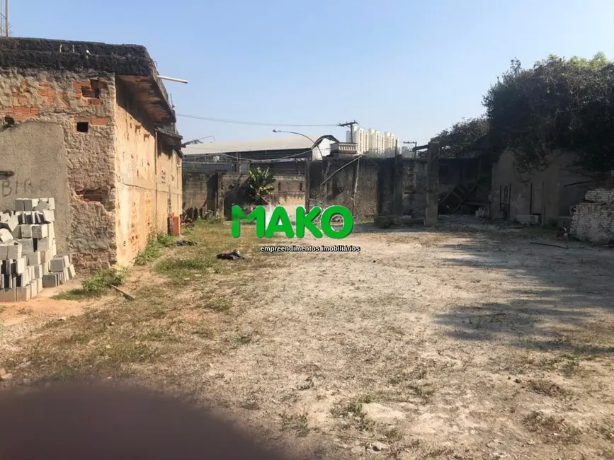 Foto 7 de Terreno / Lote à venda e para alugar, 1775m2 em Ferreira, São Paulo - SP