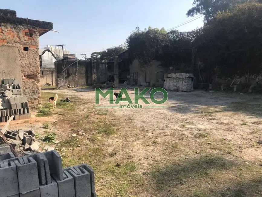 Terreno / Lote à venda e para alugar, 650m2 em Instituto de Previdência, São Paulo - SP - imagem 7 Foto 7 de Terreno / Lote à venda e para alugar, 650m2 em Instituto de Previdência, São Paulo - SP