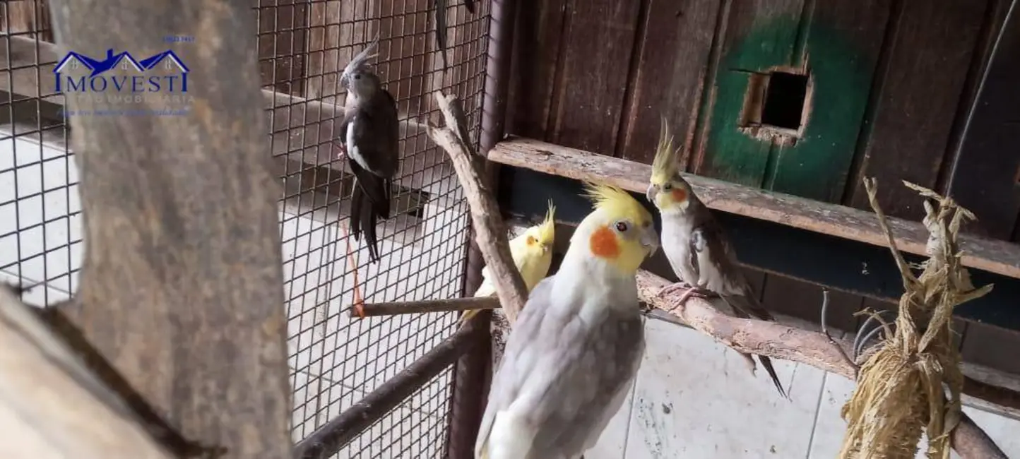 Foto 8 de Sítio / Rancho com 6 quartos à venda, 3200m2 em Pindobas, Marica - RJ