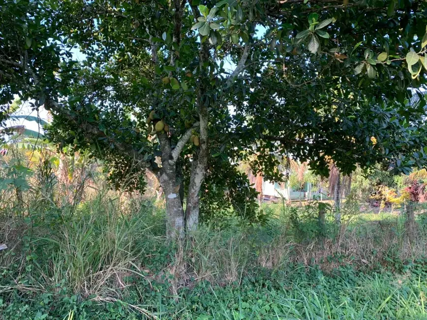 Foto 5 de Sítio / Rancho à venda, 9000m2 em Retiro, Marica - RJ