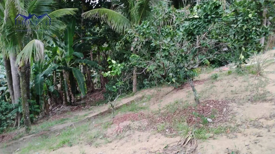 Sítio / Rancho à venda, 5428m2 em Cachoeiras De Macacu - RJ - imagem 4 Foto 4 de Sítio / Rancho à venda, 5428m2 em Cachoeiras De Macacu - RJ