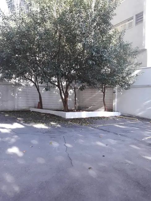 Sala Comercial para alugar, 350m2 em Jardim Paulista, São Paulo - SP - imagem 6 Foto 6 de Sala Comercial para alugar, 350m2 em Jardim Paulista, São Paulo - SP