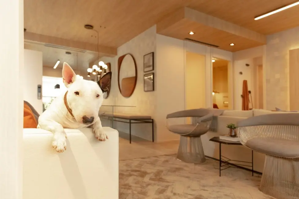 Foto 1 de Apartamento com 3 quartos à venda, 101m2 em Vila Monte Alegre, São Paulo - SP