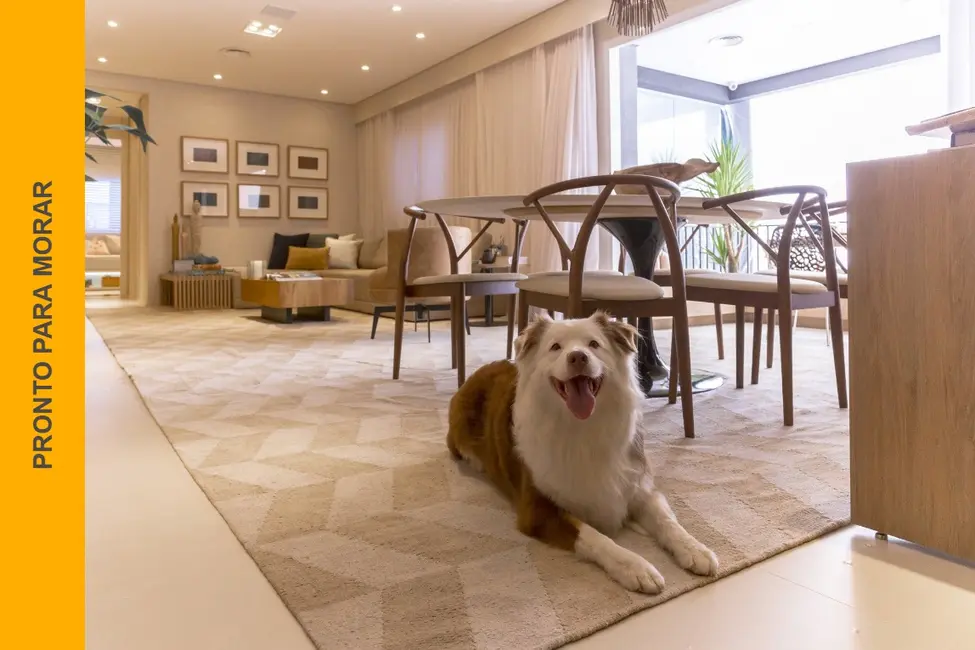 Apartamento com 4 quartos à venda, 127m2 em Jardim Caboré, São Paulo - SP - imagem 1 Foto 1 de Apartamento com 4 quartos à venda, 127m2 em Jardim Caboré, São Paulo - SP