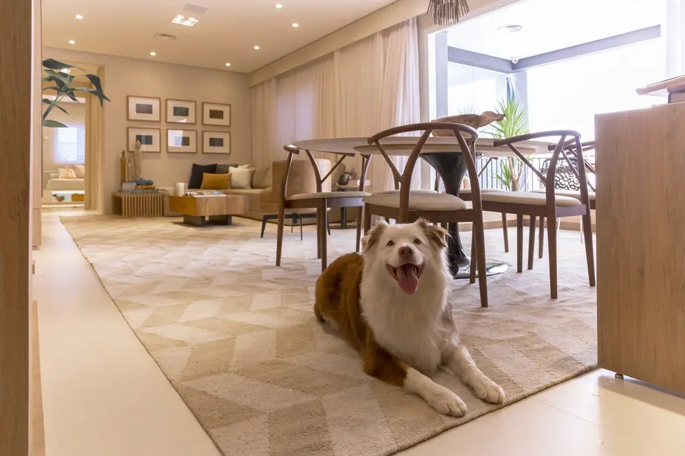 Foto 5 de Apartamento com 2 quartos à venda, 69m2 em Jardim Caboré, São Paulo - SP