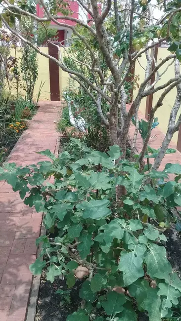 Foto 3 de Casa com 3 quartos à venda, 136m2 em Centro, Agudos - SP