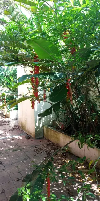 Foto 2 de Casa com 4 quartos à venda, 200m2 em Chácara Inglesa, São Paulo - SP