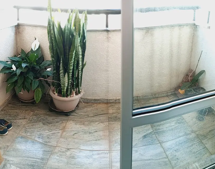 Foto 4 de Apartamento com 3 quartos à venda, 74m2 em Chácara Inglesa, São Paulo - SP