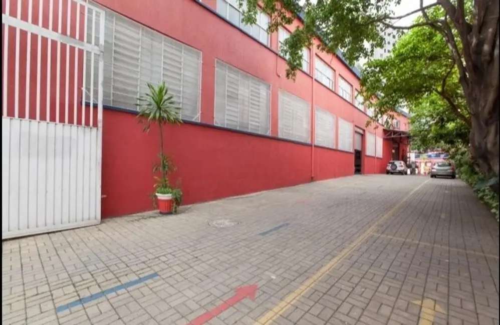 Foto 3 de Armazém / Galpão à venda e para alugar, 1800m2 em Cambuci, São Paulo - SP