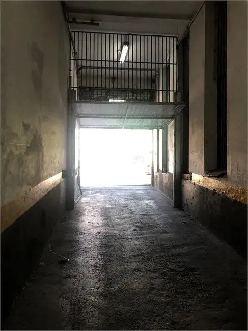 Foto 4 de Armazém / Galpão à venda e para alugar, 6000m2 em Cambuci, São Paulo - SP