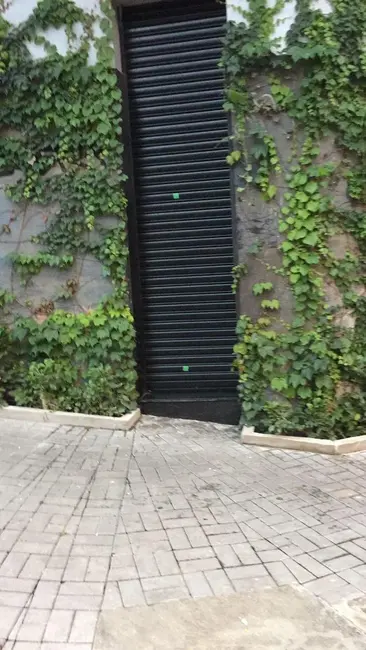 Armazém / Galpão para alugar, 110m2 em Cambuci, São Paulo - SP - imagem 4 Foto 4 de Armazém / Galpão para alugar, 110m2 em Cambuci, São Paulo - SP