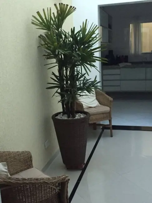 Foto 7 de Sobrado com 3 quartos à venda em Vila Gilda, Santo Andre - SP