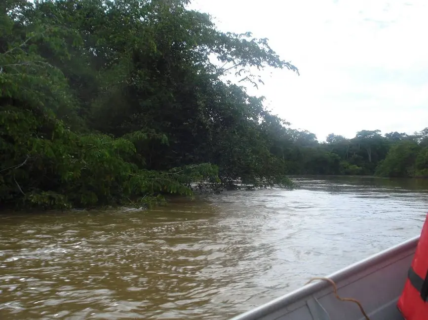 Foto 10 de Chácara à venda, 2250m2 em Área Rural de Rondonópolis, Rondonopolis - MT
