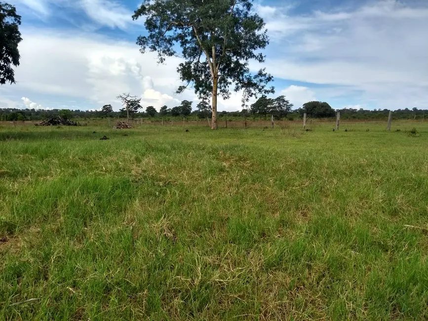 Foto 14 de Chácara à venda, 2250m2 em Área Rural de Rondonópolis, Rondonopolis - MT