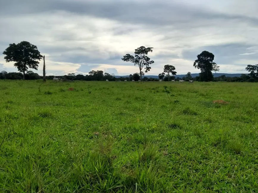Chácara à venda, 2250m2 em Área Rural de Rondonópolis, Rondonopolis - MT - imagem 4 Foto 4 de Chácara à venda, 2250m2 em Área Rural de Rondonópolis, Rondonopolis - MT