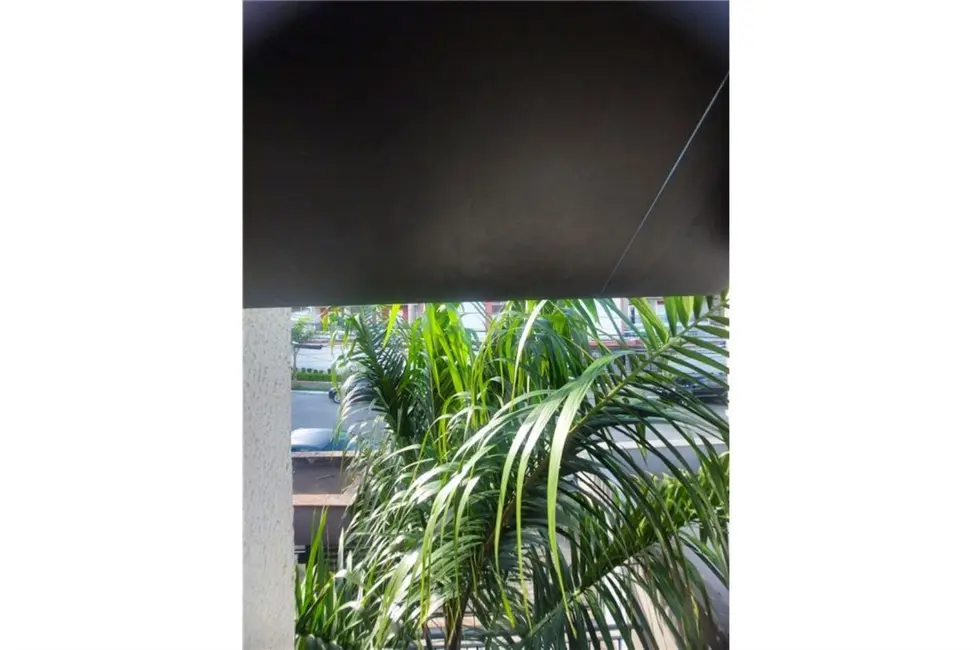 Loft / Flat com 2 quartos à venda, 48m2 em Parque Boturussu, São Paulo - SP - imagem 6 Foto 6 de Loft / Flat com 2 quartos à venda, 48m2 em Parque Boturussu, São Paulo - SP