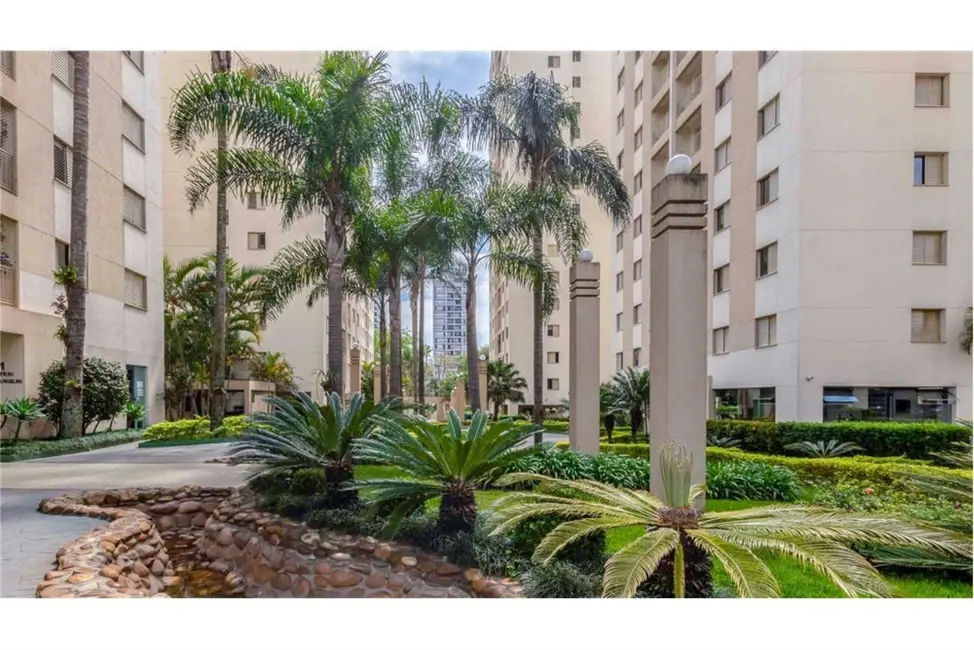 Apartamento com 3 quartos à venda, 65m2 em Vila Morumbi, São Paulo - SP - imagem 1 Foto 1 de Apartamento com 3 quartos à venda, 65m2 em Vila Morumbi, São Paulo - SP