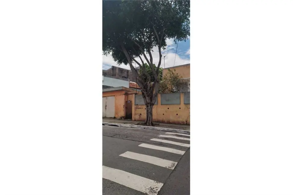 Foto 1 de Casa com 4 quartos à venda, 80m2 em Vila Matilde, São Paulo - SP