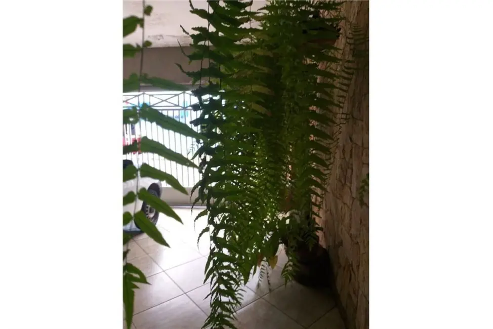 Foto 2 de Casa com 3 quartos à venda, 145m2 em Vila Invernada, São Paulo - SP