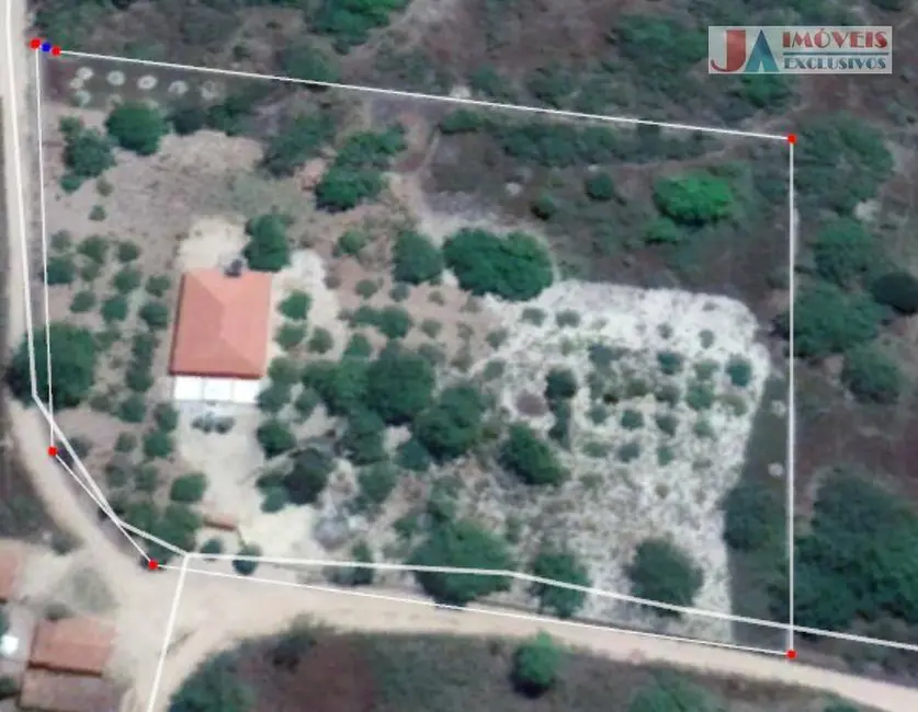 Foto 5 de Chácara com 4 quartos à venda, 10000m2 em Itapipoca - CE