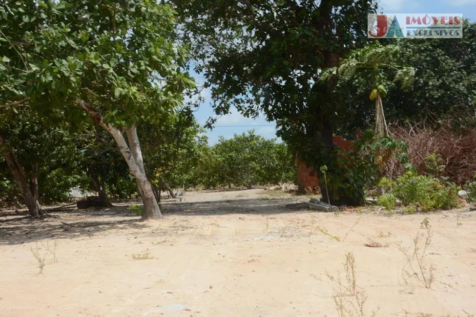 Foto 6 de Chácara com 4 quartos à venda, 10000m2 em Itapipoca - CE