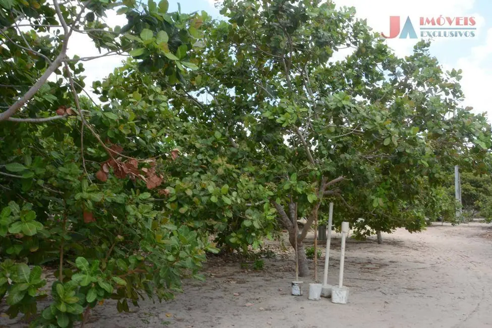 Foto 9 de Chácara com 4 quartos à venda, 10000m2 em Itapipoca - CE