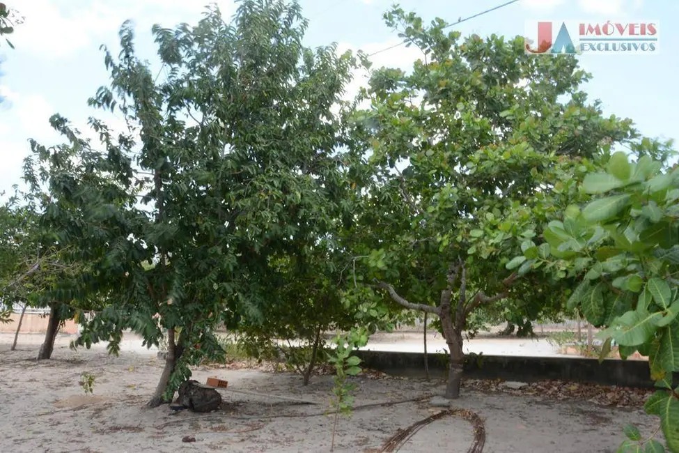 Foto 8 de Chácara com 4 quartos à venda, 10000m2 em Itapipoca - CE