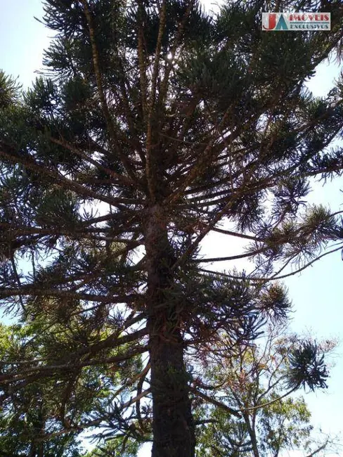 Foto 5 de Terreno / Lote à venda, 9251m2 em Aracoiaba Da Serra - SP