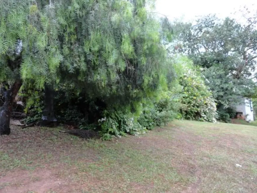 Foto 4 de Chácara com 3 quartos à venda, 3500m2 em Chácara Letônia, Americana - SP