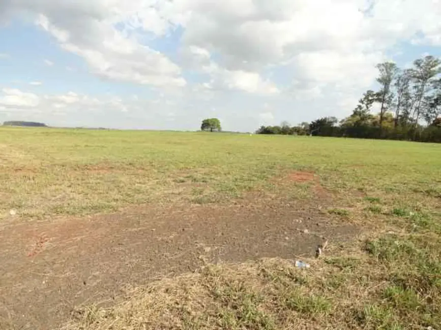 Sala Comercial para alugar, 13500m2 em Nova Odessa - SP - imagem 1 Foto 1 de Sala Comercial para alugar, 13500m2 em Nova Odessa - SP