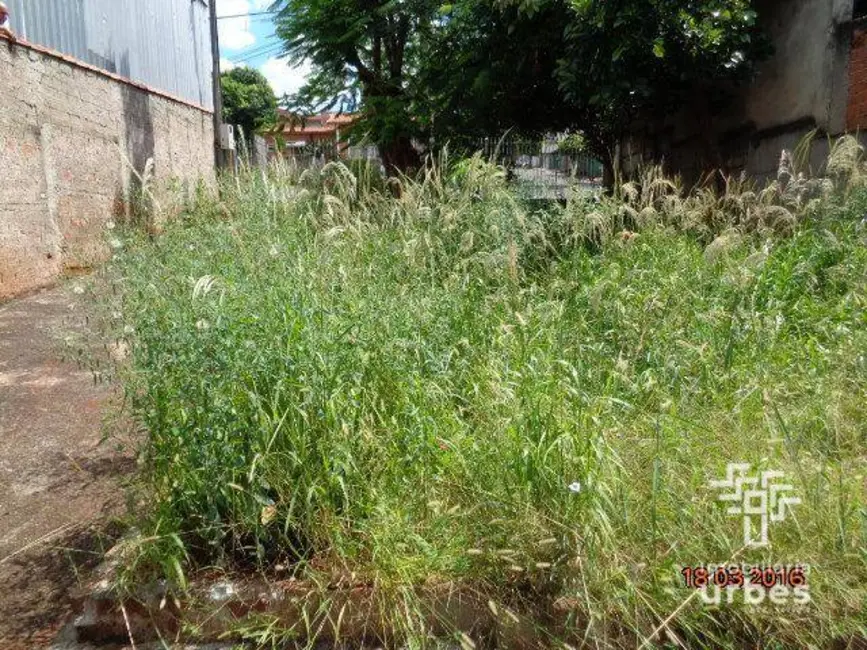 Foto 9 de Casa com 1 quarto à venda, 325m2 em Jardim Santa Rosa, Nova Odessa - SP