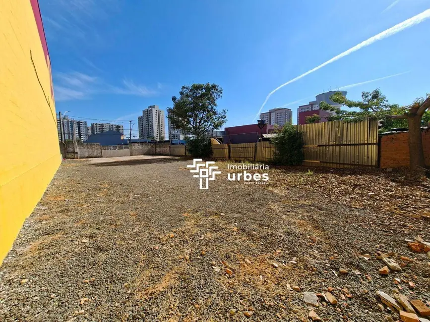 Terreno / Lote para alugar, 445m2 em Vila Pavan, Americana - SP - imagem 6 Foto 6 de Terreno / Lote para alugar, 445m2 em Vila Pavan, Americana - SP