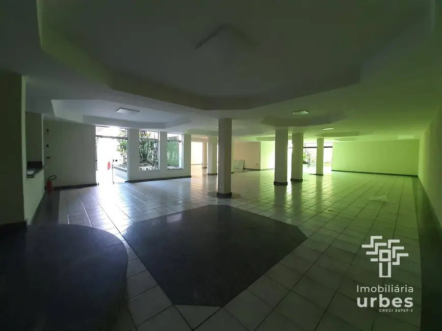 Sala Comercial para alugar, 257m2 em Paraíso, Americana - SP - imagem 5 Foto 5 de Sala Comercial para alugar, 257m2 em Paraíso, Americana - SP