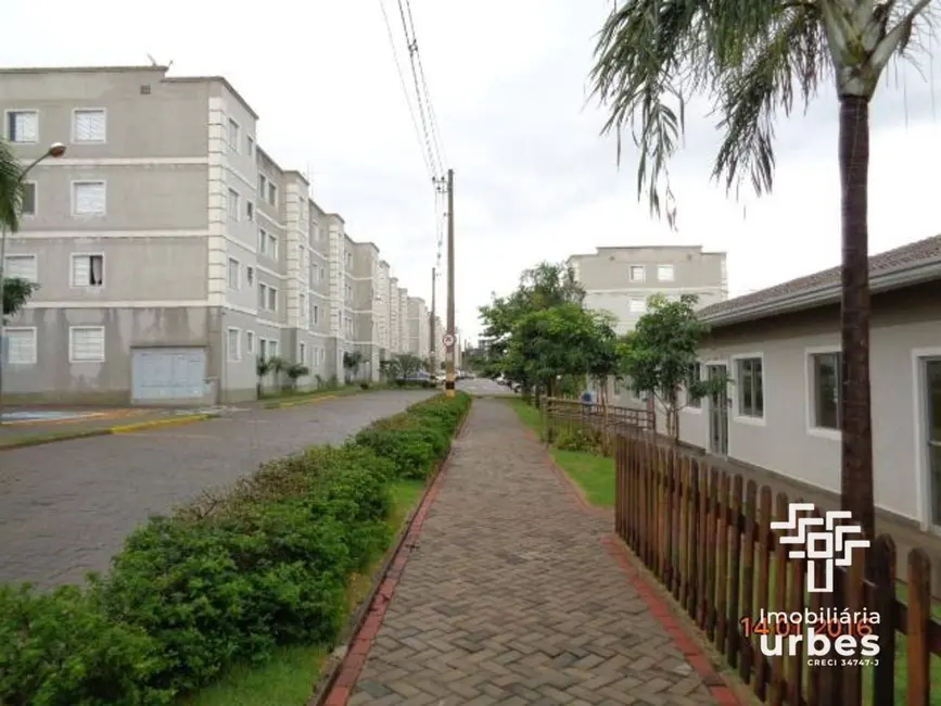 Apartamento com 2 quartos à venda, 50m2 em Chácara Letônia, Americana - SP - imagem 3 Foto 3 de Apartamento com 2 quartos à venda, 50m2 em Chácara Letônia, Americana - SP