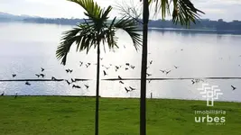 Imagem 18