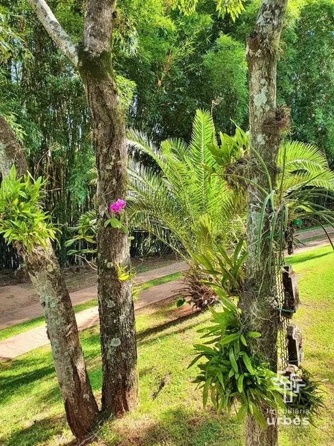 Foto 29 de Chácara com 5 quartos à venda, 4750m2 em Riviera Tamborlim, Americana - SP