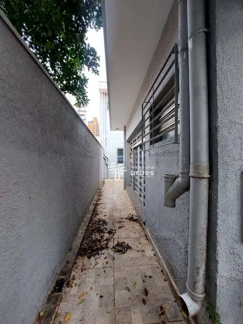 Foto 17 de Casa para alugar, 315m2 em Centro, Americana - SP