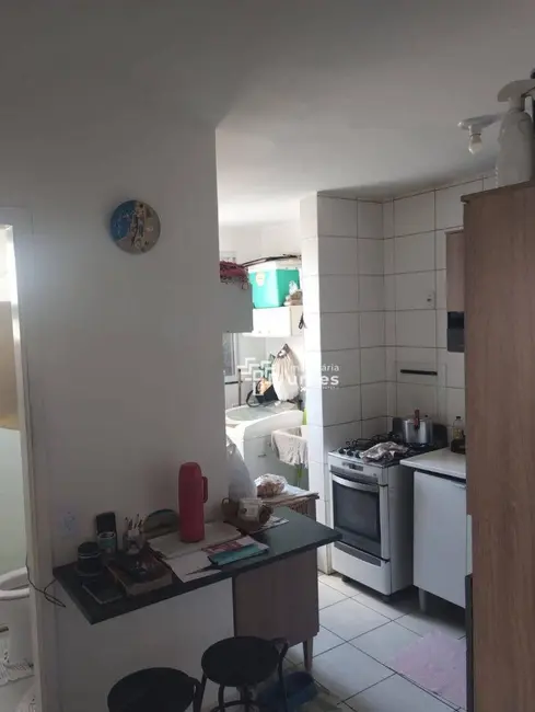 Foto 5 de Apartamento com 2 quartos à venda, 50m2 em Jardim da Balsa II, Americana - SP