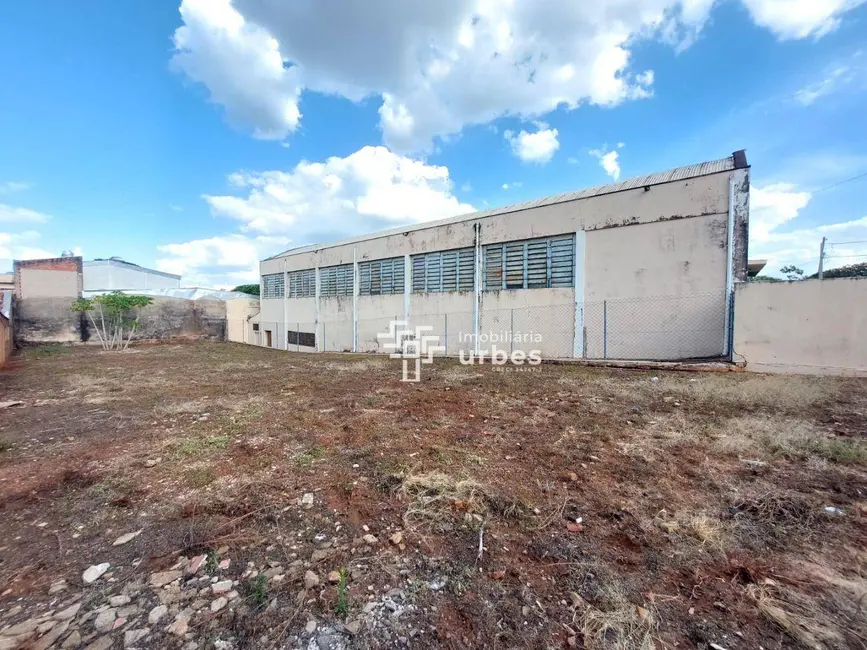 Terreno / Lote para alugar, 468m2 em Vila São Pedro, Americana - SP - imagem 3 Foto 3 de Terreno / Lote para alugar, 468m2 em Vila São Pedro, Americana - SP