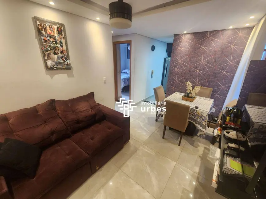 Apartamento com 2 quartos à venda, 49m2 em Morada do Sol, Americana - SP - imagem 1 Foto 1 de Apartamento com 2 quartos à venda, 49m2 em Morada do Sol, Americana - SP