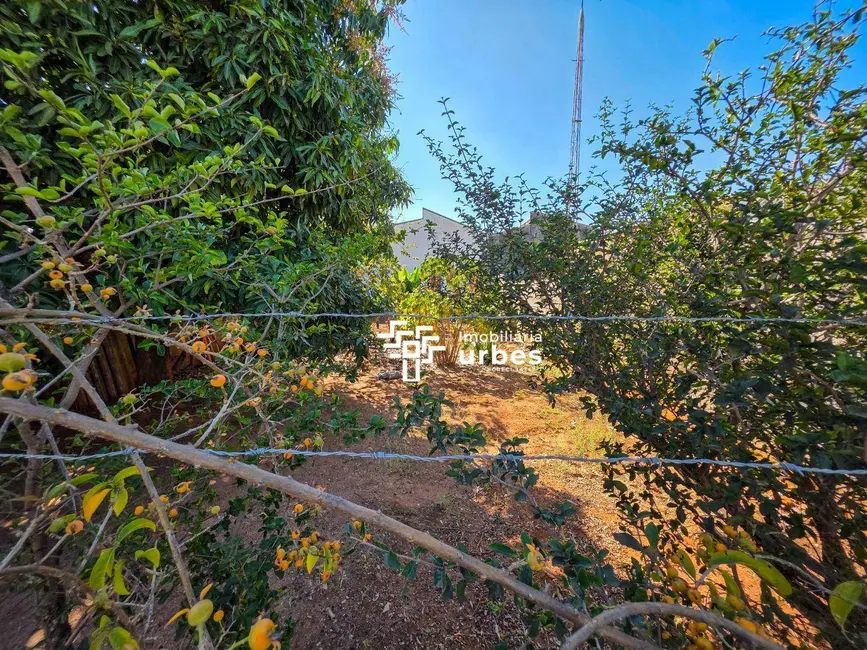 Terreno / Lote à venda, 260m2 em Conserva, Americana - SP - imagem 3 Foto 3 de Terreno / Lote à venda, 260m2 em Conserva, Americana - SP