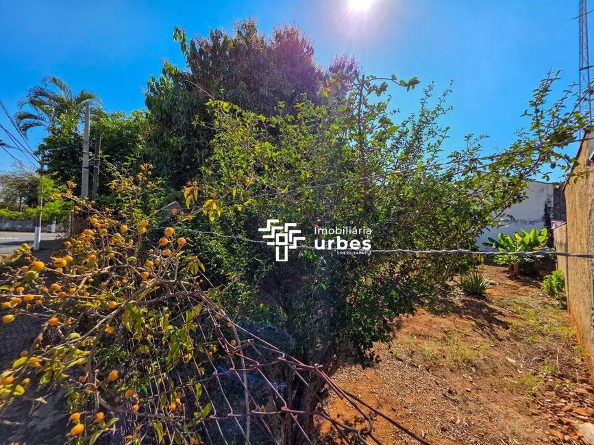 Terreno / Lote à venda, 260m2 em Conserva, Americana - SP - imagem 2 Foto 2 de Terreno / Lote à venda, 260m2 em Conserva, Americana - SP